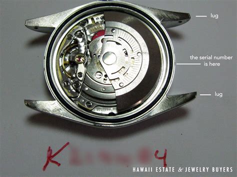 rolex datejust modellübersicht|rolex datejust model numbers.